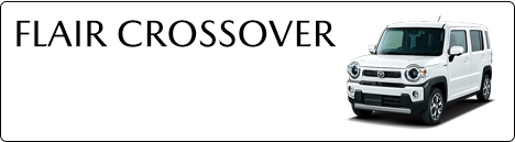 FLAIR CROSSOVER