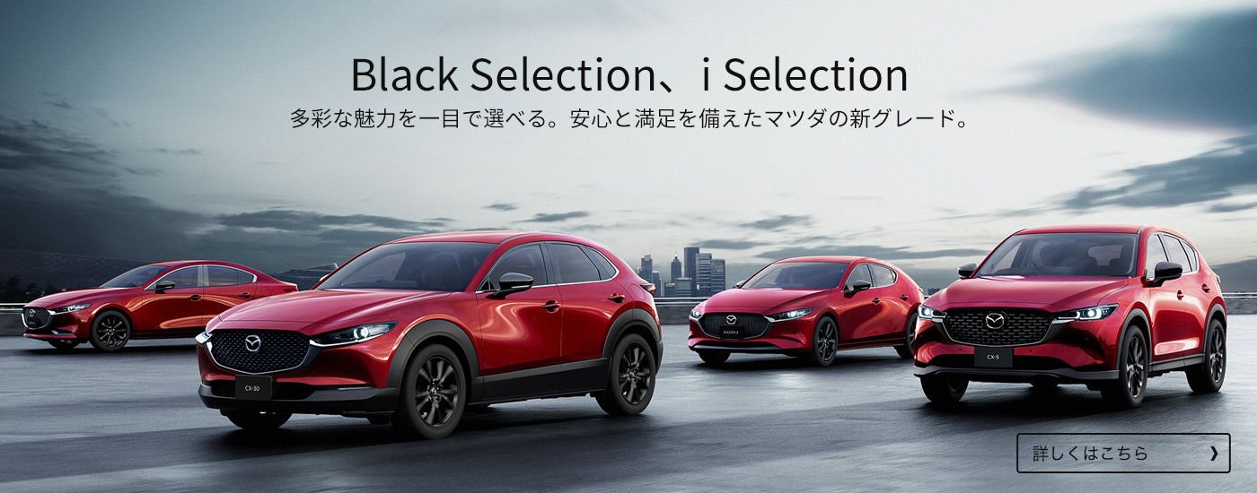 Black Selection、i Selection