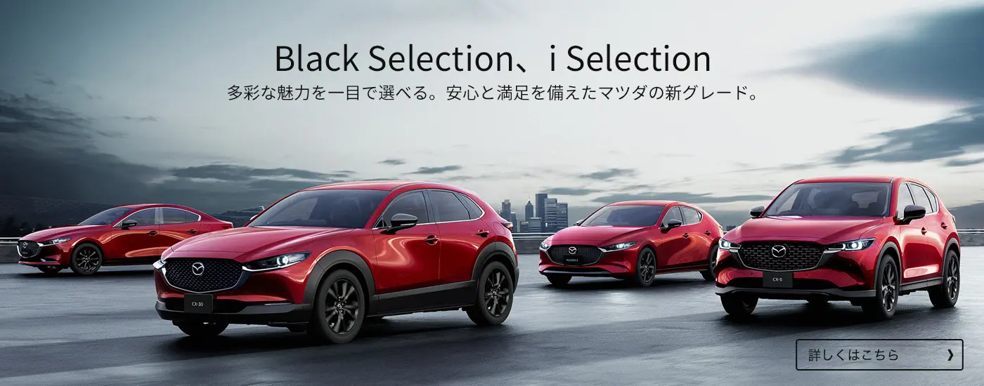 Black Selection、i Selection
